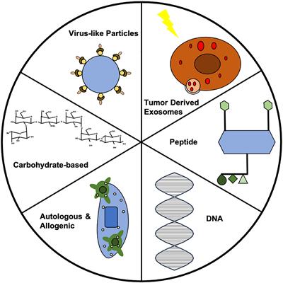 Prophylactic Cancer Vaccines Engineered to Elicit Specific Adaptive Immune Response